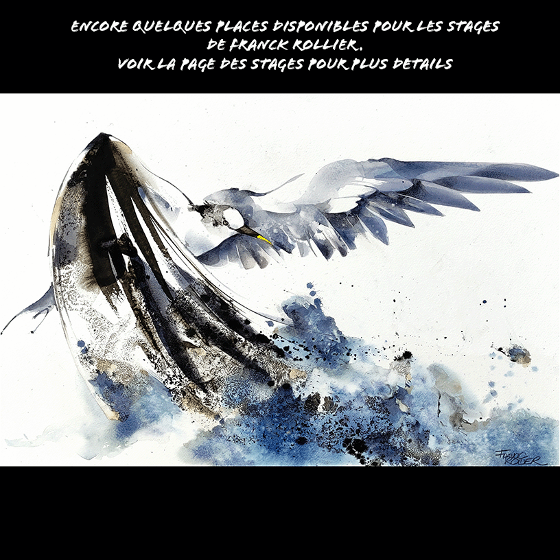 Stage de Franck Rollier fin janvier