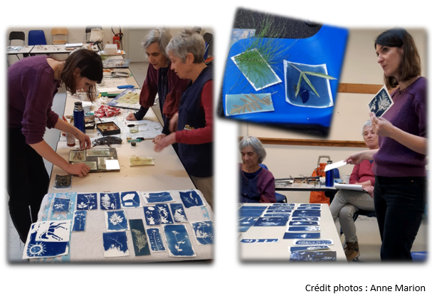 Stage Cyanotype